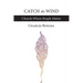 Catch the Wind