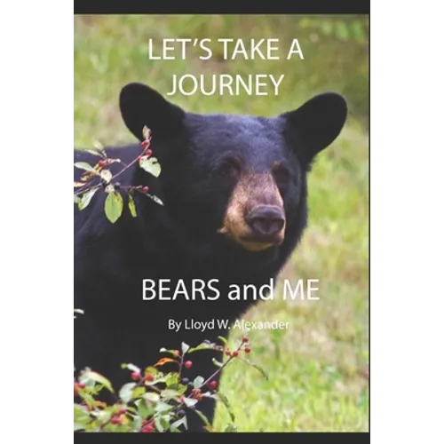 Let's Take A Journey: Bears and ME
