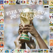 The Fifa World Cup Pop-Up Book