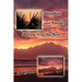 Snapshots and Visions: A View from the Now