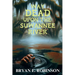 Way DEAD Upon the Suwannee River: An Einstein Brad Pope Mystery
