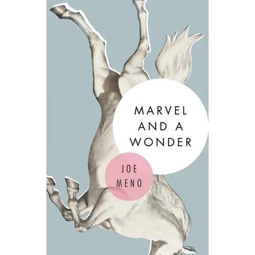 Marvel and a Wonder