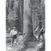 Crosscut Saw Manual