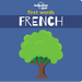 Lonely Planet Kids First Words - French: 12 Exciting New Words to Learn Colourful Illustrations on Every Page Features Handy Pronunciation Guide