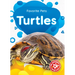 Turtles