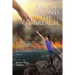 Reach Beyond the Breach