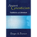 Ancient Gnosticism: Traditions and Literature