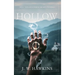 Hollow