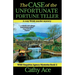 The Case of the Unfortunate Fortune Teller: A WISE Enquiries Agency cozy Welsh murder mystery