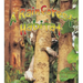 A Rainforest Habitat