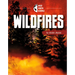 Wildfires