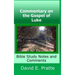 Commentary on the Gospel of Luke