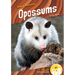 Opossums