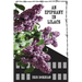 An Epiphany in Lilacs: In the Aftermath of the Camps