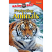 Hand to Paw: Protecting Animals