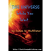 The Universe While You Wait: Twenty eight short stories to read while you wait