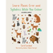 Learn Plains Cree and Syllabics While You Colour: Colouring Animals