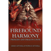 Firebound Harmony: Princess and Dragon Unite