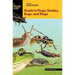 Basic Illustrated Guide to Frogs, Snakes, Bugs, and Slugs