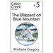 The Blizzard on Blue Mountain