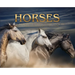 Horses: a Soulful Equestrian Photography Coffee Table Book