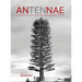 Antennae 10: A Decade of Art and the Non-Human 07-17