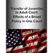 Transfer of Juveniles to Adult Court: Effects of a Broad Policy in One Court (Black and White)