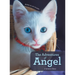 The Adventures of Angel: A Kitten's Story