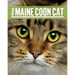 The Maine Coon Cat