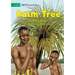 Palm Tree