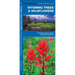 Wyoming Trees & Wildflowers: A Folding Pocket Guide to Familiar Plants