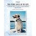 A Memoir The Furry Loves of My Life: A Lifetime Impact: Lessons Learned from My Rescued Pets