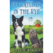 Dogcatcher in the Rye