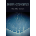 Spaces of Insurgency: Petro-Violence and the Geography of Conflict in Nigeria