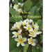 A Scent of Frangipani