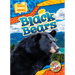 Black Bears