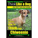Chiweenie, Chiweenie Training AAA AKC Think Like a Dog...but Don't Eat Your Poop!: Chiweenie Breed Expert Dog Training - Here's EXACTLY How To Train Y