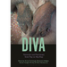 Diva: Feminism and Fierceness from Pop to Hip-Hop