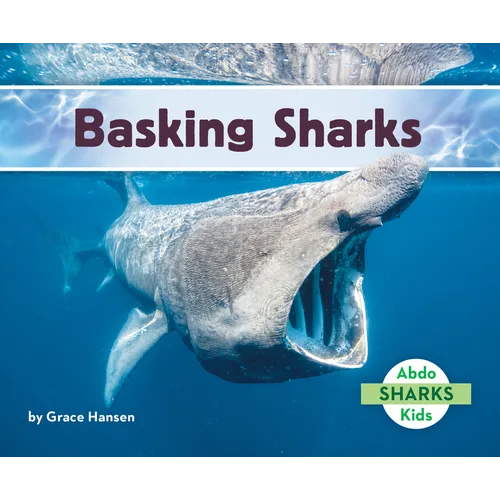 Basking Sharks