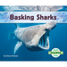 Basking Sharks