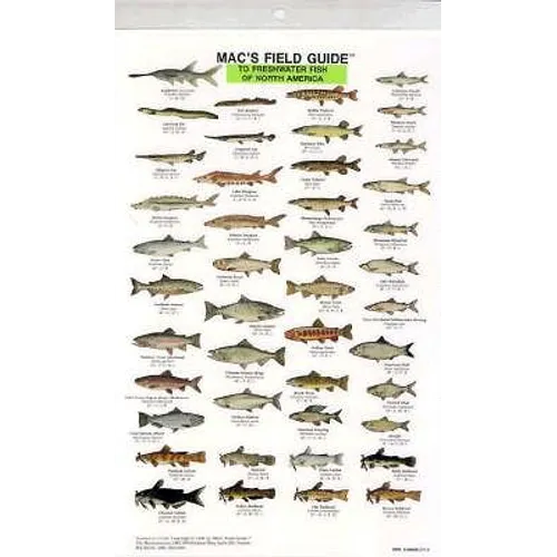 Mac's Field Guides: North American Freshwater Fish