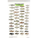 Mac's Field Guides: North American Freshwater Fish
