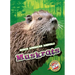 Muskrats