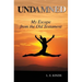Undamned: My Escape From the Old Testament