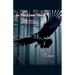 As The Crow Flies