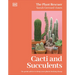 Cacti and Succulents: On-Point Advice to Keep Your Plants Looking Sharp
