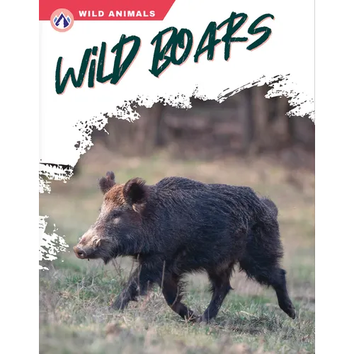 Wild Boars