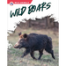 Wild Boars