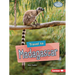 Travel to Madagascar