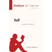 Soif d'Amélie Nothomb (Analyse de l'oeuvre): Résumé complet et analyse détaillée de l'oeuvre